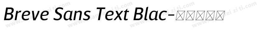Breve Sans Text Blac字体转换